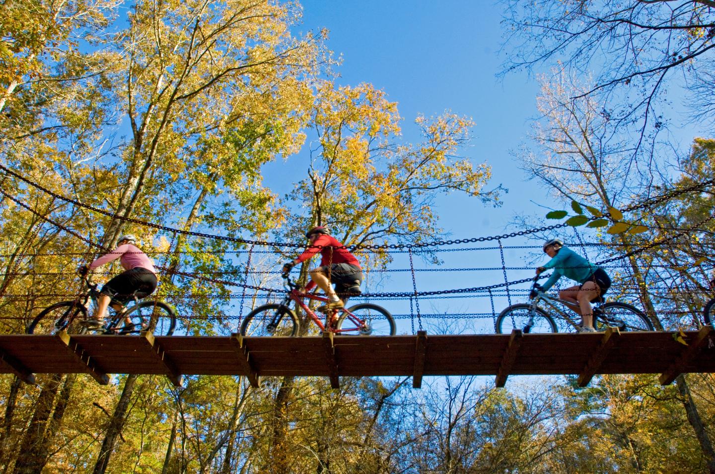 Three cyclists cross a wooden bridge beneath autumn trees and a blue sky.
