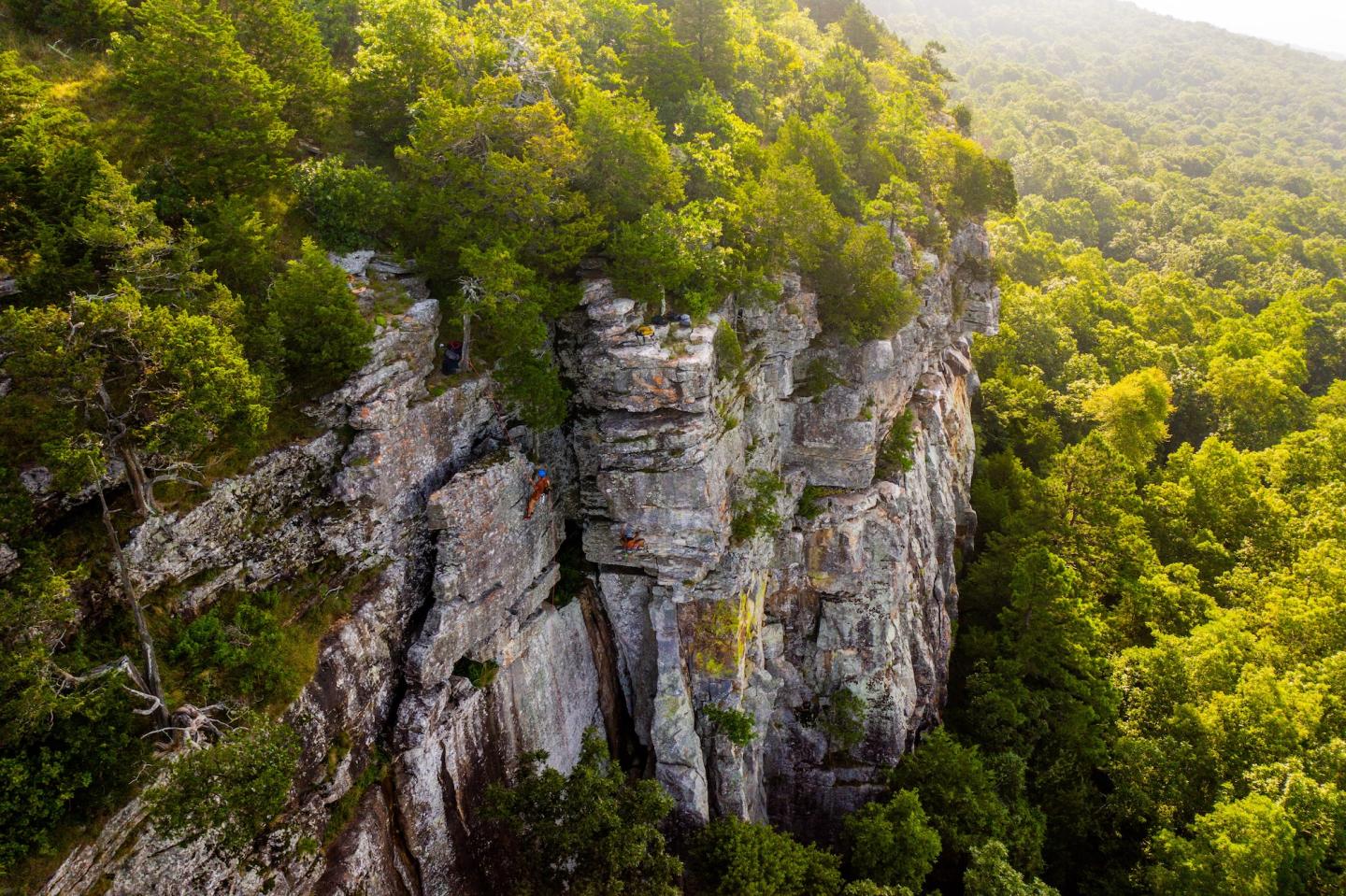 Aerial view of a rocky cliff surrounded by dense green forest.