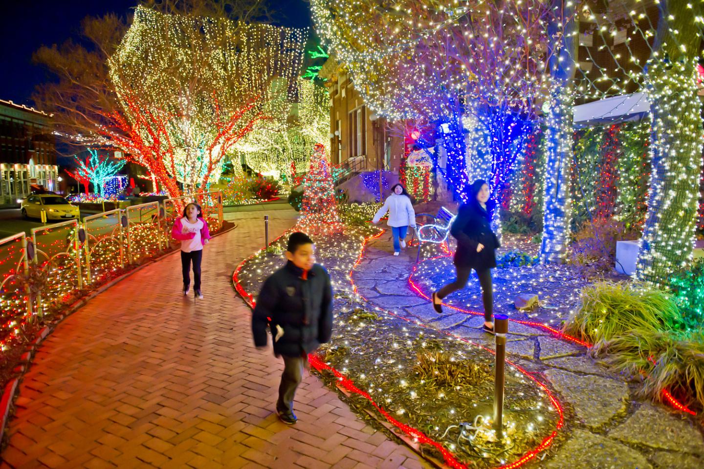People walking through a festive garden tunnel lit with colorful holiday lights.