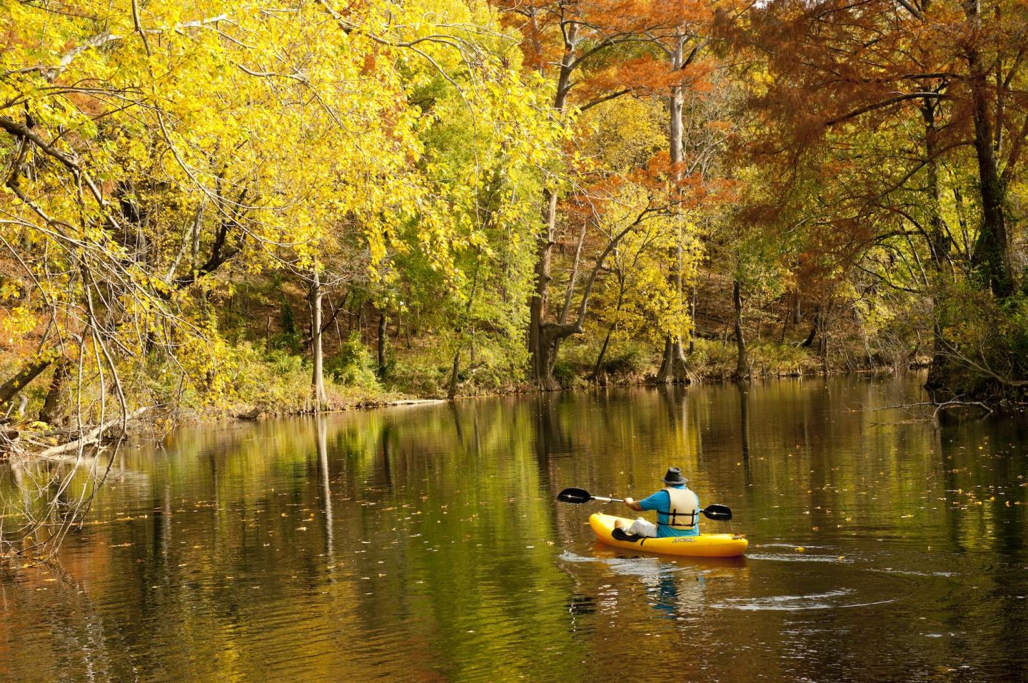 Two people kayaking on a calm river surrounded by golden autumn trees.