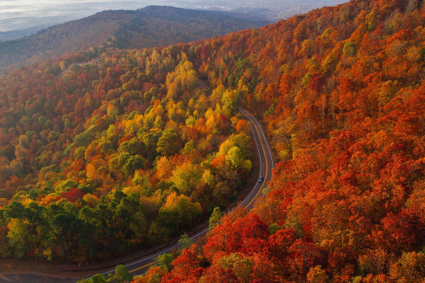 Winding road through a forested mountain in vibrant autumn colors.