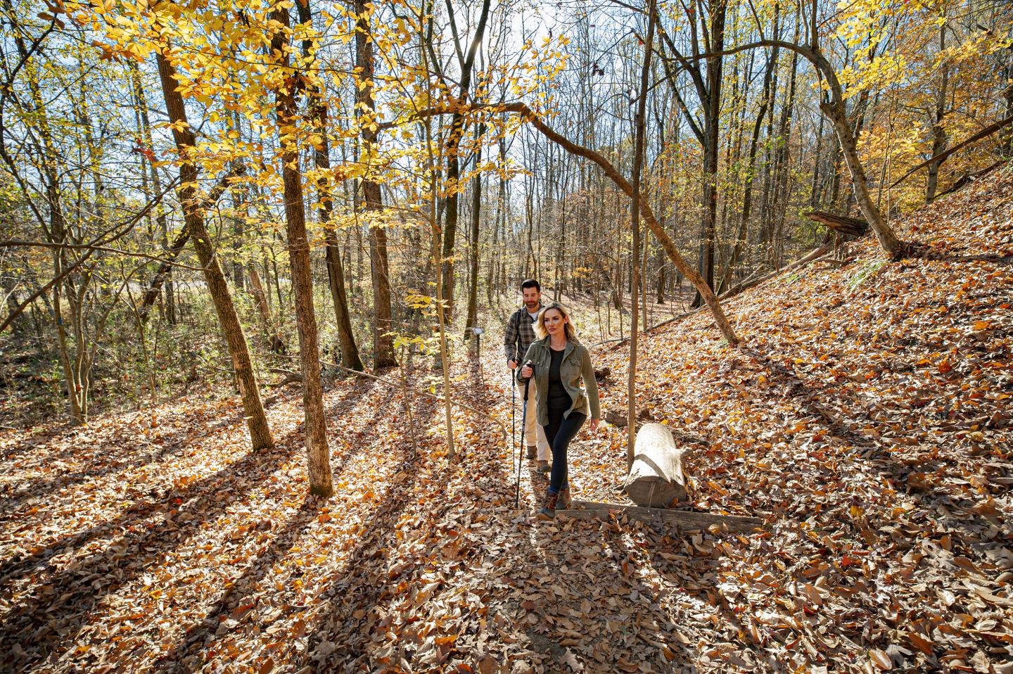 Person walking a small white dog on a leaf-covered forest trail in autumn.