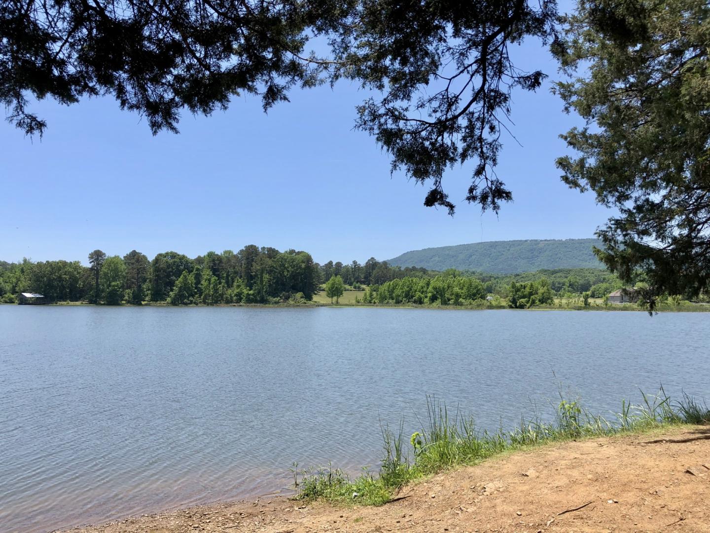 Lake shoreline with trees framing calm water and distant green hills under a clear blue sky.