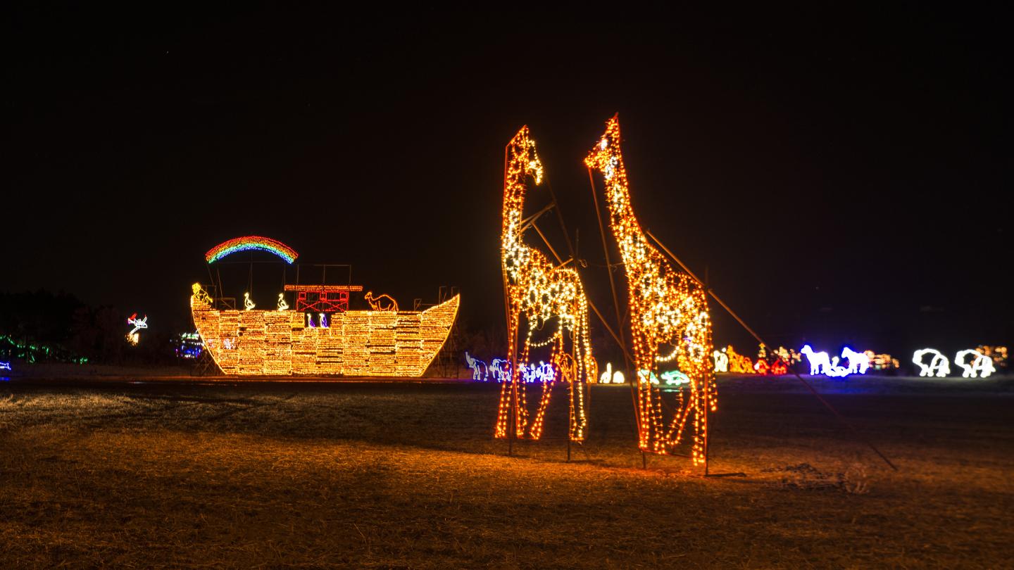 Illuminated giraffe and boat light sculptures at night.