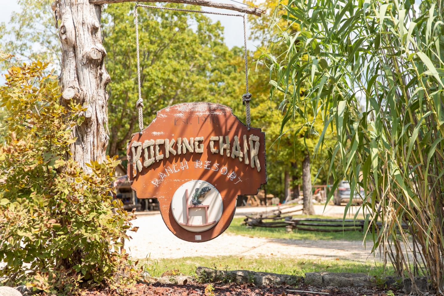 Wooden “The King Chair” sign surrounded by lush garden foliage.