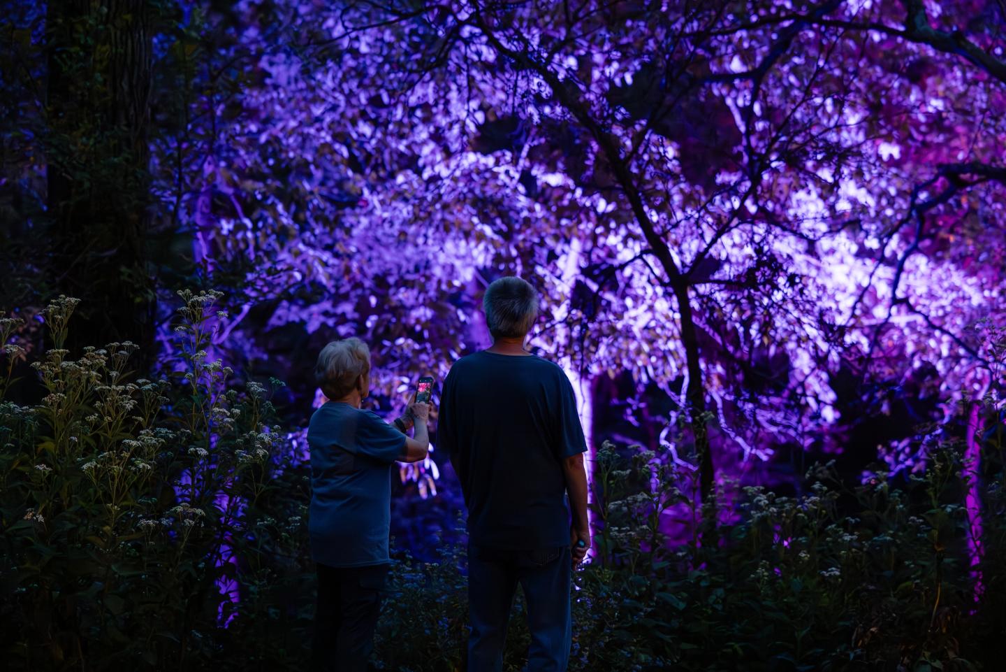 Two people stand beneath glowing purple trees at night.