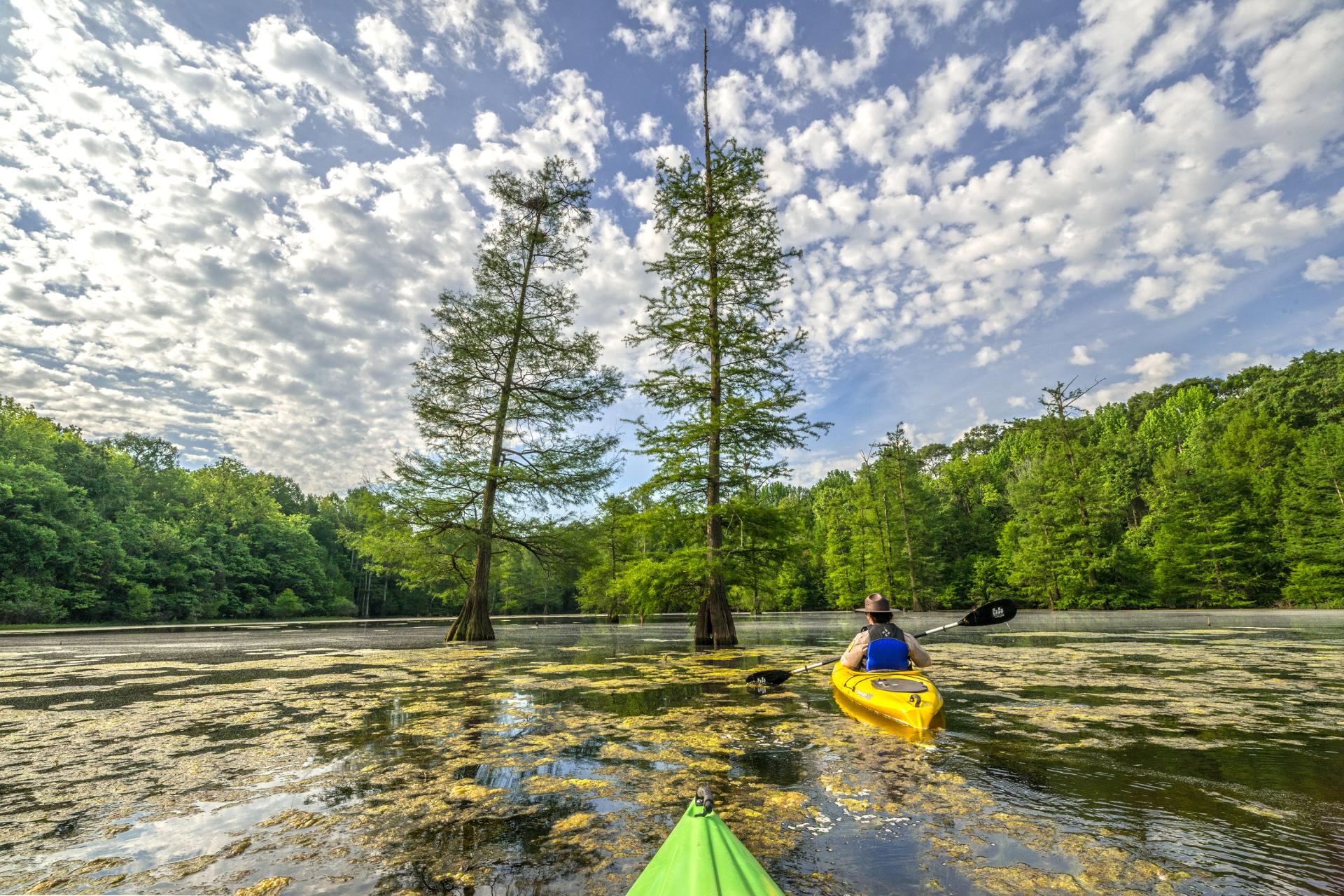 Mississippi River State Park | Arkansas.com