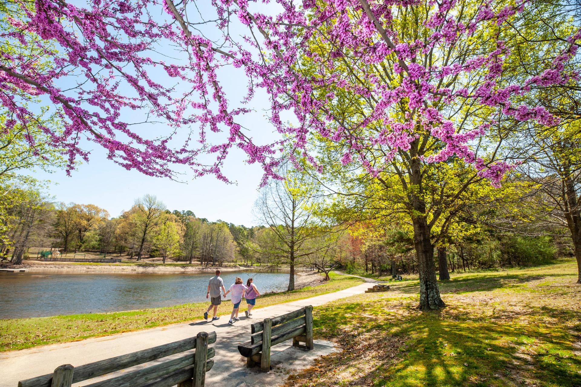 Crowley's Ridge State Park | Arkansas.com
