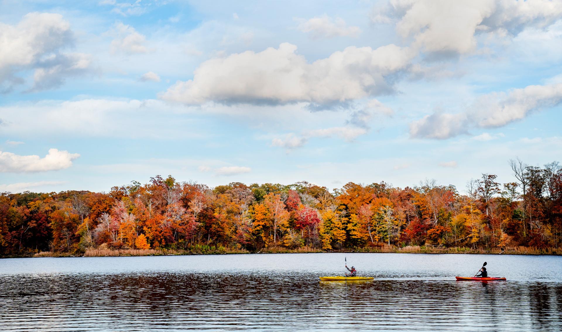 Mississippi River State Park | Arkansas.com