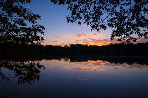 Mississippi River State Park | Arkansas.com