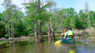 Bayou Bartholomew Water Trail
