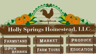 Holly Springs Homestead 