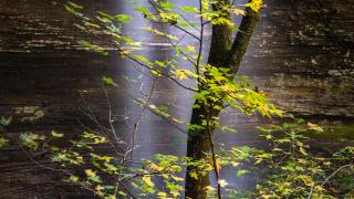 Cornelius Falls in Heber Springs