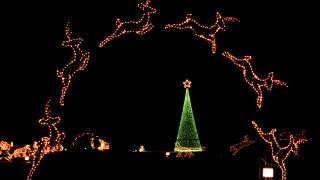 Enchanted Land of Lights and Legends in Pine Bluff