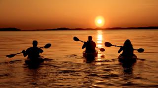 Lake Ouachita State Park