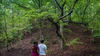 Loess-covered ridge at Valley Creek State Park