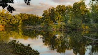 Mississippi River State Park - St. Francis National Forest