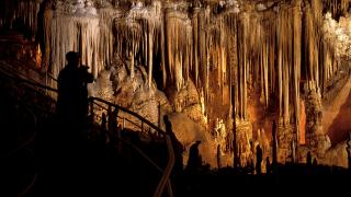 Formations in Blanchard Springs Caverns in Mountain View, Arkansas