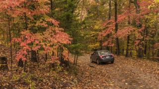 Fall color in Arkansas