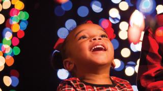 Arkansas Trail of Holiday Lights