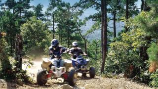 Wolf Pen Gap ATV Trails