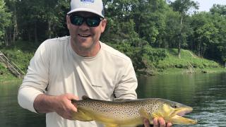 Fishing the White River below Bulls Shoals Dam