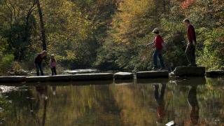 Gulpha Gorge Campground