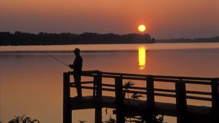 Lake Chicot is great for fishing and birdwatching 