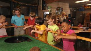 A group of kids enjoying the Forest Wood Nature Center