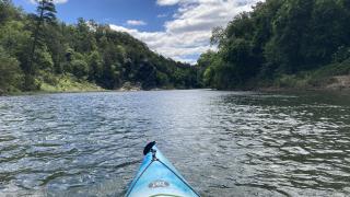 View of the Ouachita River 