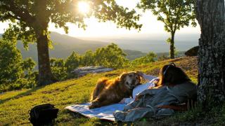 Relaxing with your dog at sunset