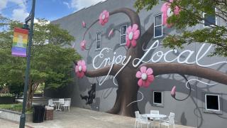 Mural art on the Fayetteville square
