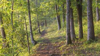 Fall outdoor activities