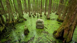 Louisiana Purchase State Park and Natural Area