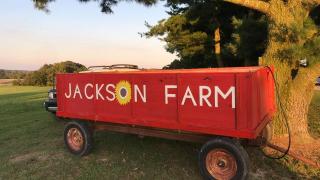 The Jackson Farm in Black Rock offers fall fun for the family