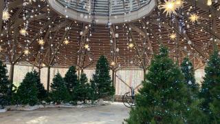 Winter Garden Festival 