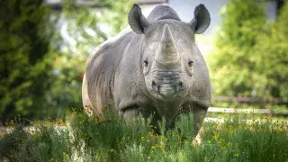 Little Rock Zoo