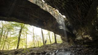 Alum Cove Natural Bridge