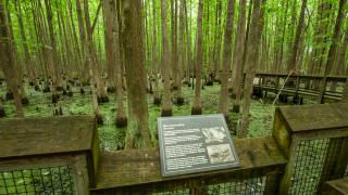 Louisiana Purchase Historic State Park.