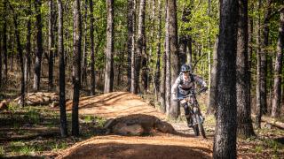 Monument Trails at Pinnacle Mountain State Park. 