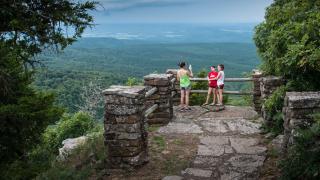 Cameron Bluff Mount Magazine