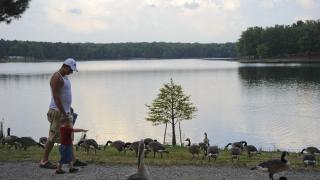 Relax with a stroll along the lake at Craighead Forest Park.