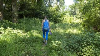 Hiking through Allsopp Park in Little Rock