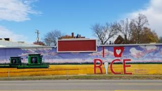 I Love Rice Mural in Little Rock