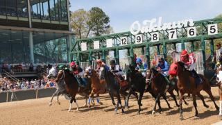 Horse exit the starting gate at Oaklawn Racing Casino