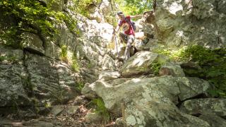 Hiking the East Summit Trail at Pinnacle Mountain State Park