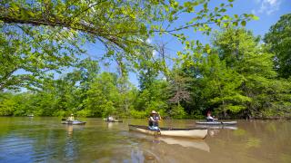 St. Francis Sunken Lands Water Trail