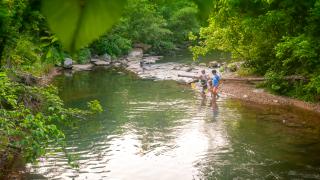 Tanyard Creek in Bella Vista