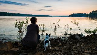 Views of the Lake at Daisy State Park