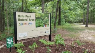 Mills Park Natural Area